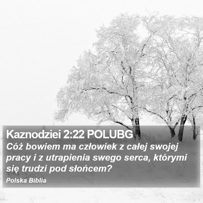 Kaznodziei 2:22 POLUBG Bible Verse Image