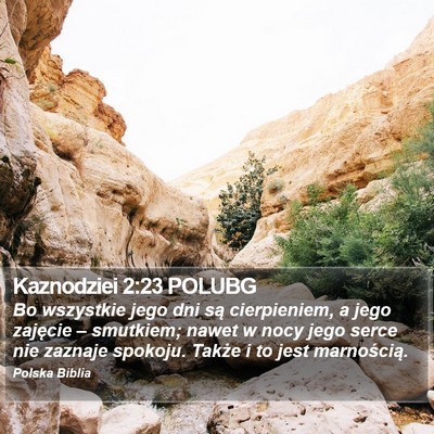 Kaznodziei 2:23 POLUBG Bible Verse Image