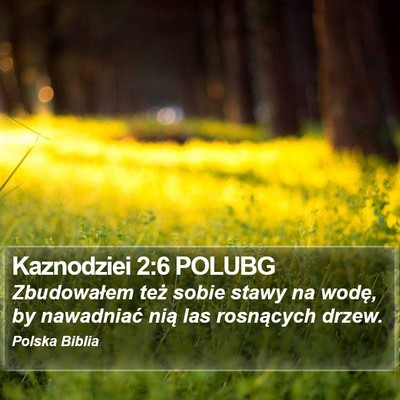 Kaznodziei 2:6 POLUBG Bible Verse Image