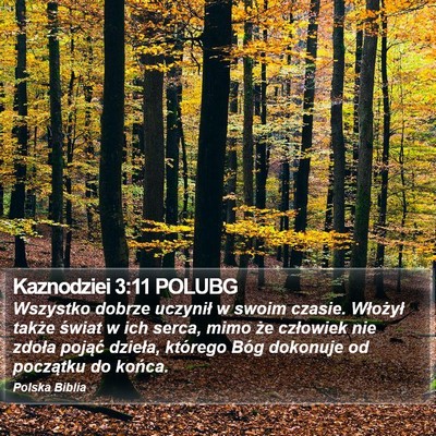 Kaznodziei 3:11 POLUBG Bible Verse Image