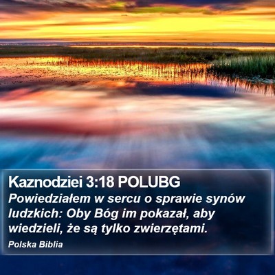 Kaznodziei 3:18 POLUBG Bible Verse Image
