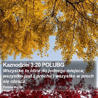 Kaznodziei 3:20 POLUBG Bible Verse Image