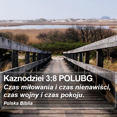 Kaznodziei 3:8 POLUBG Bible Verse Image