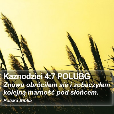 Kaznodziei 4:7 POLUBG Bible Verse Image