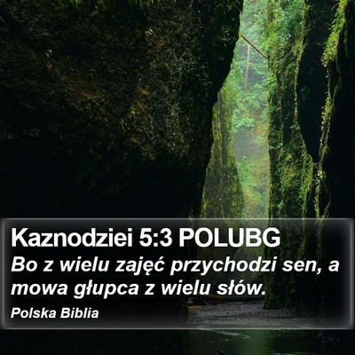 Kaznodziei 5:3 POLUBG Bible Verse Image