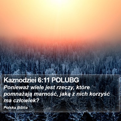 Kaznodziei 6:11 POLUBG Bible Verse Image