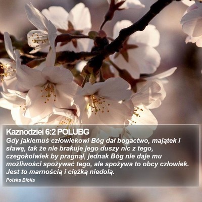 Kaznodziei 6:2 POLUBG Bible Verse Image