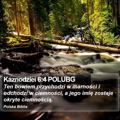 Kaznodziei 6:4 POLUBG Bible Verse Image