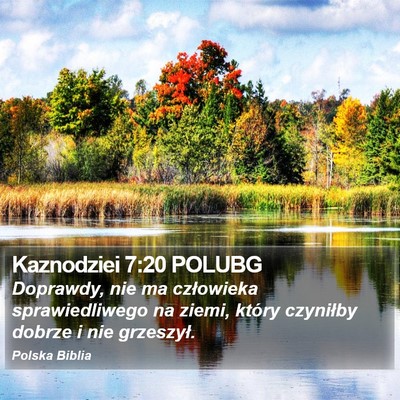 Kaznodziei 7:20 POLUBG Bible Verse Image