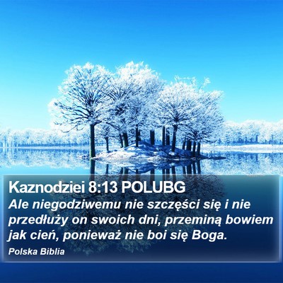 Kaznodziei 8:13 POLUBG Bible Verse Image