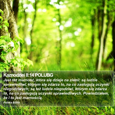Kaznodziei 8:14 POLUBG Bible Verse Image