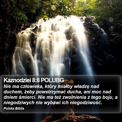 Kaznodziei 8:8 POLUBG Bible Verse Image