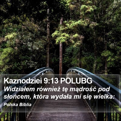 Kaznodziei 9:13 POLUBG Bible Verse Image