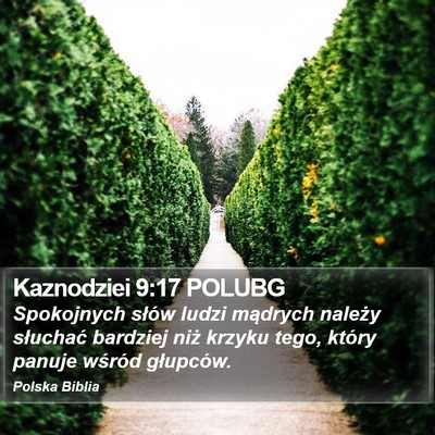 Kaznodziei 9:17 POLUBG Bible Verse Image