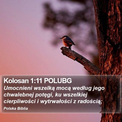 Kolosan 1:11 POLUBG Bible Verse Image