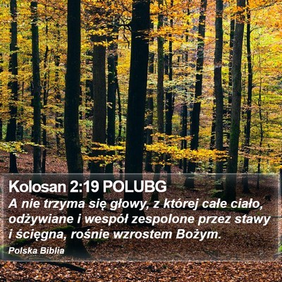 Kolosan 2:19 POLUBG Bible Verse Image