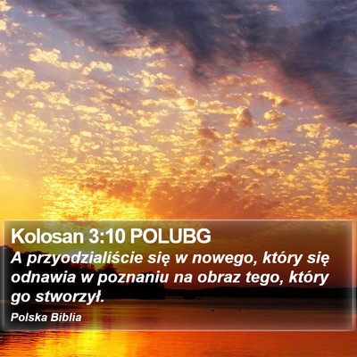 Kolosan 3:10 POLUBG Bible Verse Image