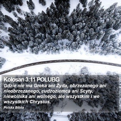 Kolosan 3:11 POLUBG Bible Verse Image