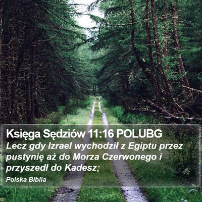 Księga Sędziów 11:16 POLUBG Bible Verse Image