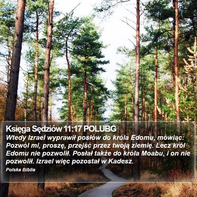 Księga Sędziów 11:17 POLUBG Bible Verse Image