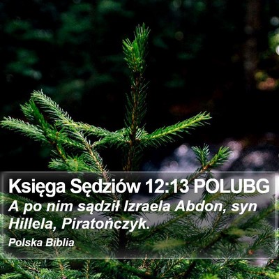 Księga Sędziów 12:13 POLUBG Bible Verse Image