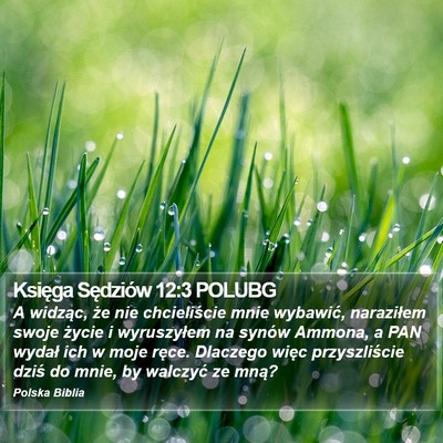 Księga Sędziów 12:3 POLUBG Bible Verse Image