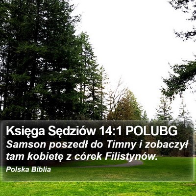 Księga Sędziów 14:1 POLUBG Bible Verse Image