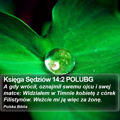 Księga Sędziów 14:2 POLUBG Bible Verse Image