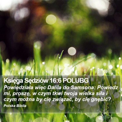Księga Sędziów 16:6 POLUBG Bible Verse Image