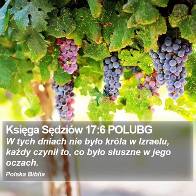Księga Sędziów 17:6 POLUBG Bible Verse Image