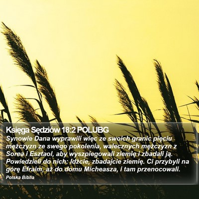 Księga Sędziów 18:2 POLUBG Bible Verse Image