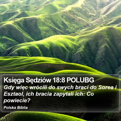 Księga Sędziów 18:8 POLUBG Bible Verse Image