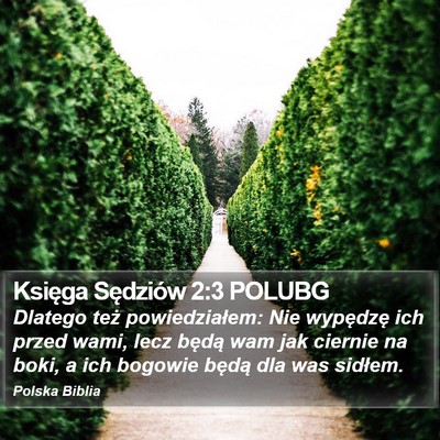 Księga Sędziów 2:3 POLUBG Bible Verse Image