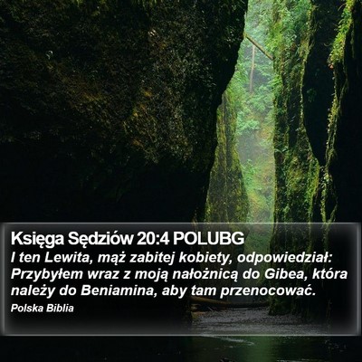 Księga Sędziów 20:4 POLUBG Bible Verse Image