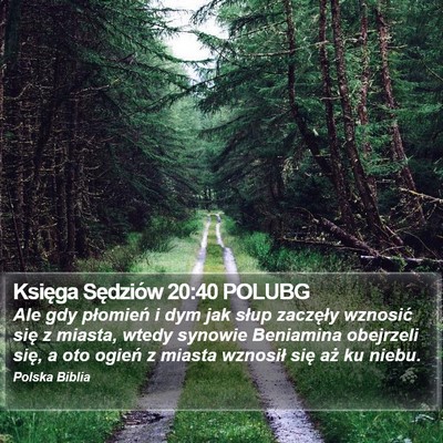 Księga Sędziów 20:40 POLUBG Bible Verse Image