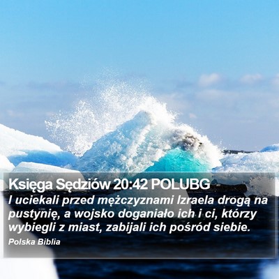 Księga Sędziów 20:42 POLUBG Bible Verse Image