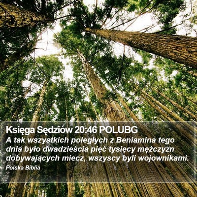 Księga Sędziów 20:46 POLUBG Bible Verse Image