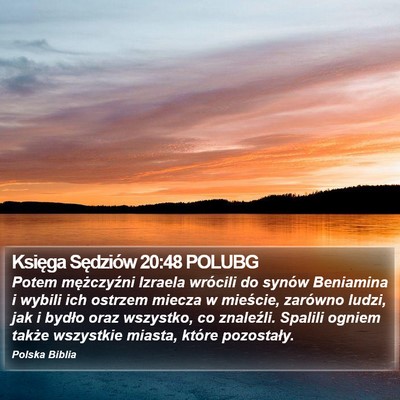 Księga Sędziów 20:48 POLUBG Bible Verse Image