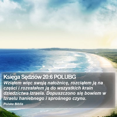Księga Sędziów 20:6 POLUBG Bible Verse Image