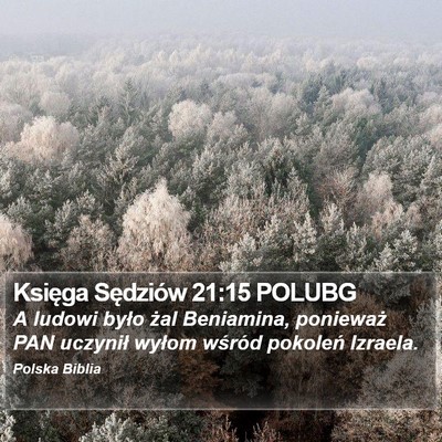 Księga Sędziów 21:15 POLUBG Bible Verse Image