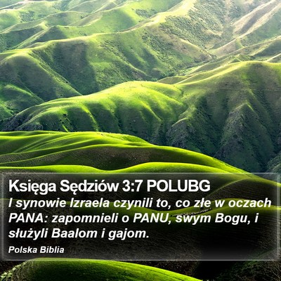 Księga Sędziów 3:7 POLUBG Bible Verse Image