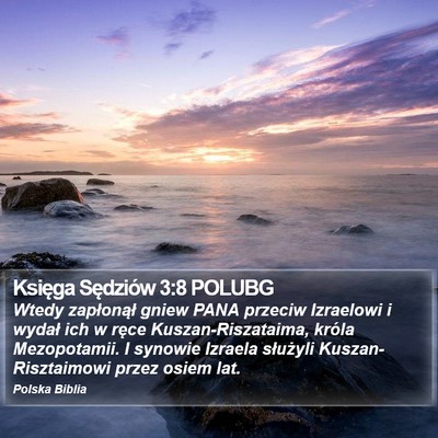 Księga Sędziów 3:8 POLUBG Bible Verse Image
