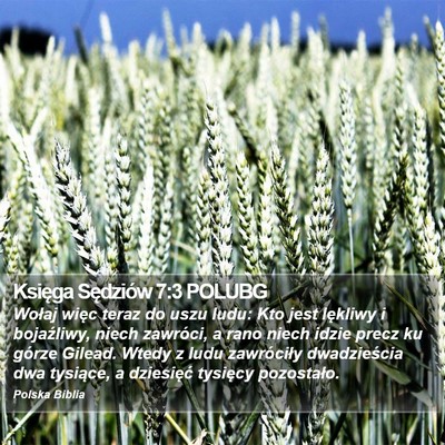 Księga Sędziów 7:3 POLUBG Bible Verse Image