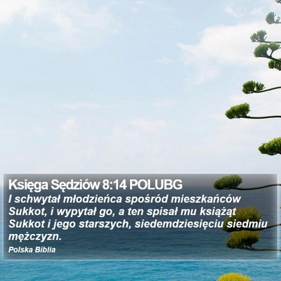 Księga Sędziów 8:14 POLUBG Bible Verse Image