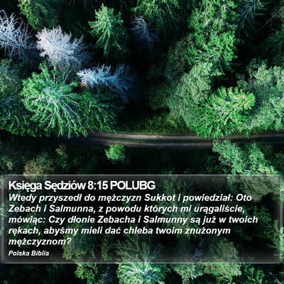 Księga Sędziów 8:15 POLUBG Bible Verse Image