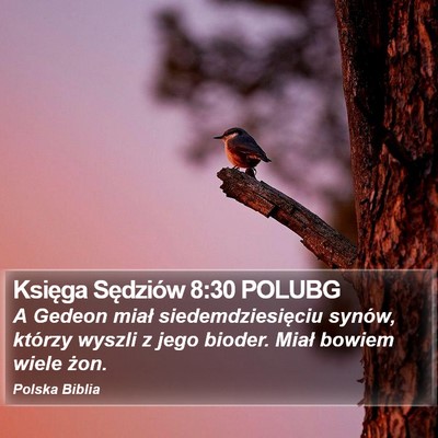 Księga Sędziów 8:30 POLUBG Bible Verse Image
