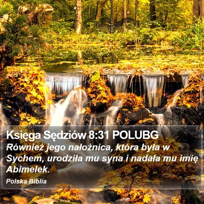 Księga Sędziów 8:31 POLUBG Bible Verse Image
