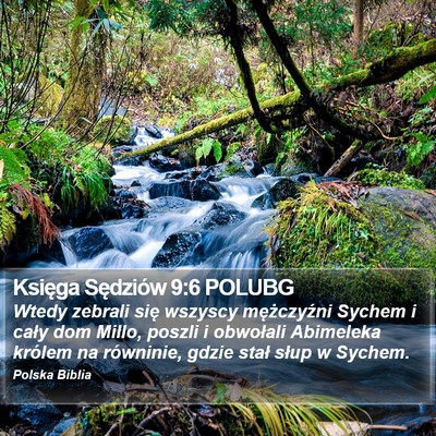 Księga Sędziów 9:6 POLUBG Bible Verse Image