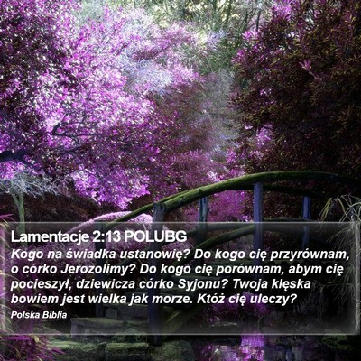 Lamentacje 2:13 POLUBG Bible Verse Image