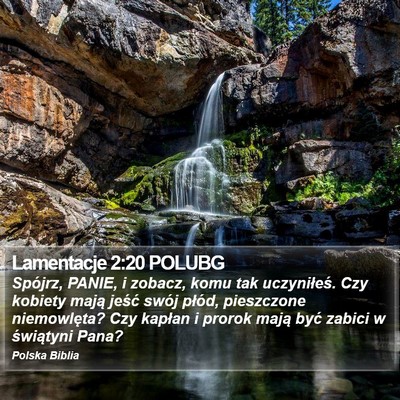 Lamentacje 2:20 POLUBG Bible Verse Image
